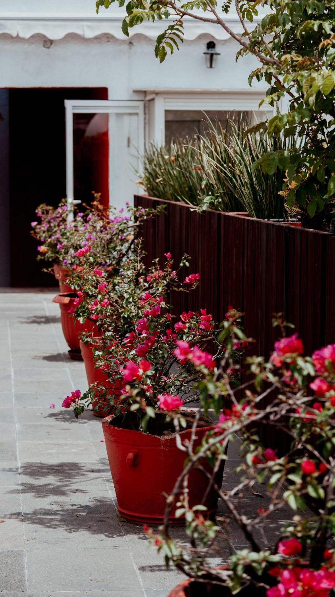 Siglo 17 Hotel